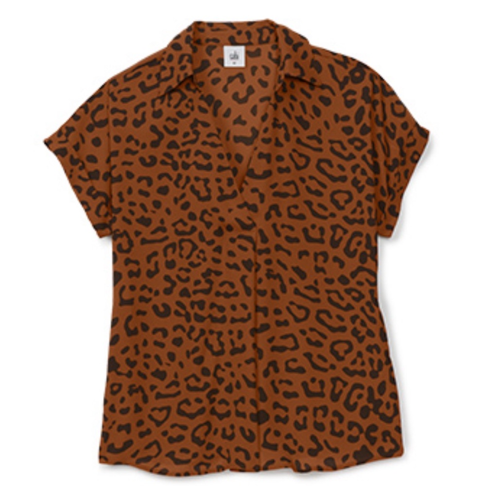 🧡 CAbi Leopard Print V-Neck Blouse - Orange and Brown - Picture 3 of 3